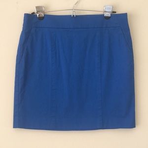 Ann Taylor Madison Skirt